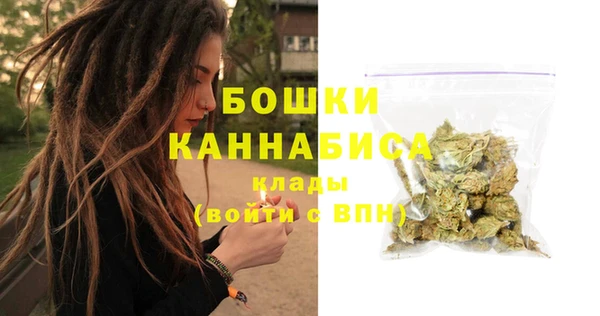 гидра Бородино