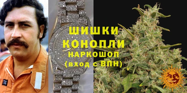 гидра Бородино