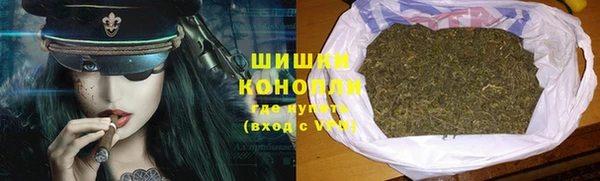 гидра Бородино