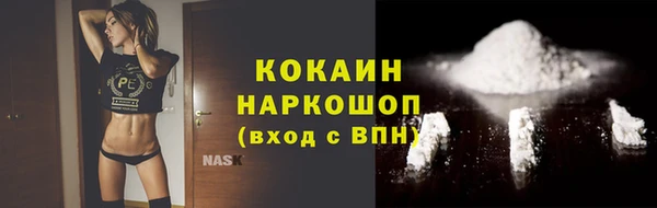 гидра Бородино