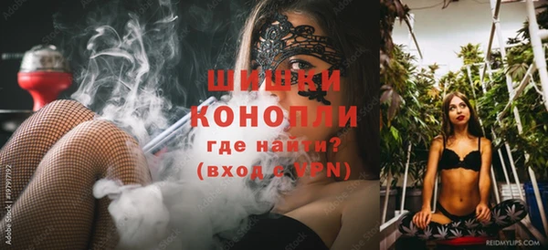 гидра Бородино
