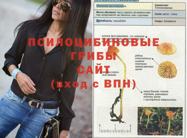 прущий лед Бугульма