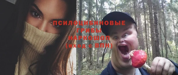 гидра Бородино